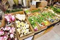 Bulk Orders